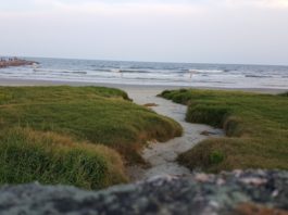 galveston beach path