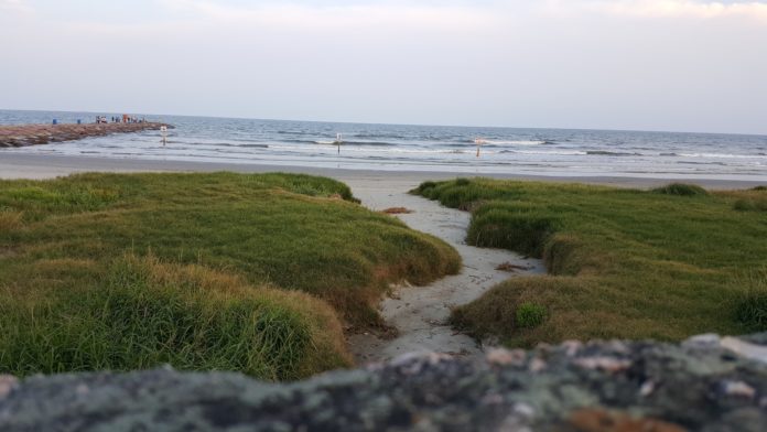 galveston beach path