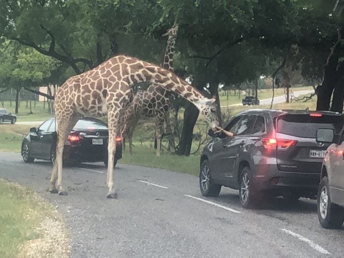 Fossil Rim