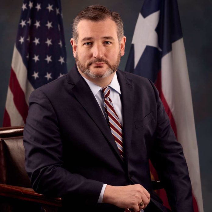 Senator Ted Cruz