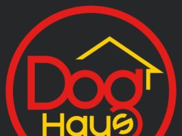 dog haus logo