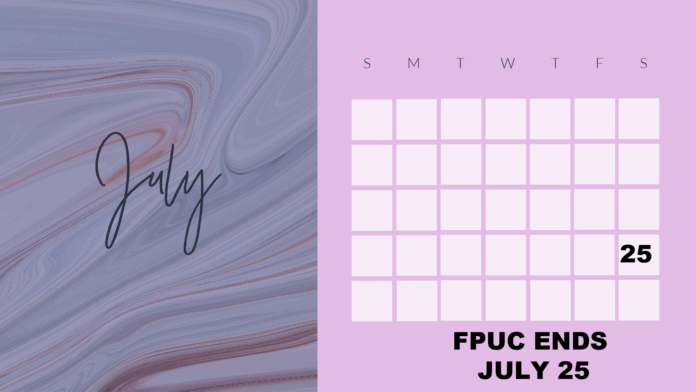 JUly 2020 calendar graphic