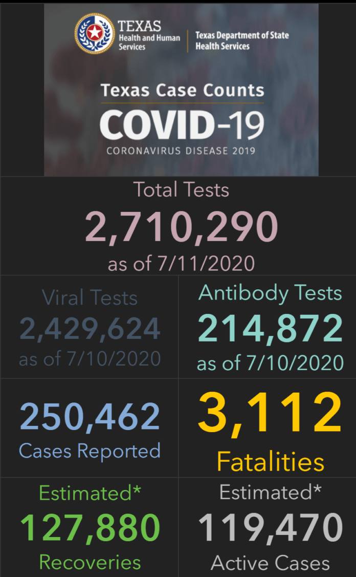 Screenshot of Texas DSHS COVID19