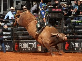 PBR Unleash the beast