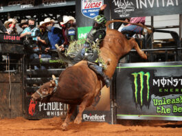 Cowboy riding a bull in Ft worth