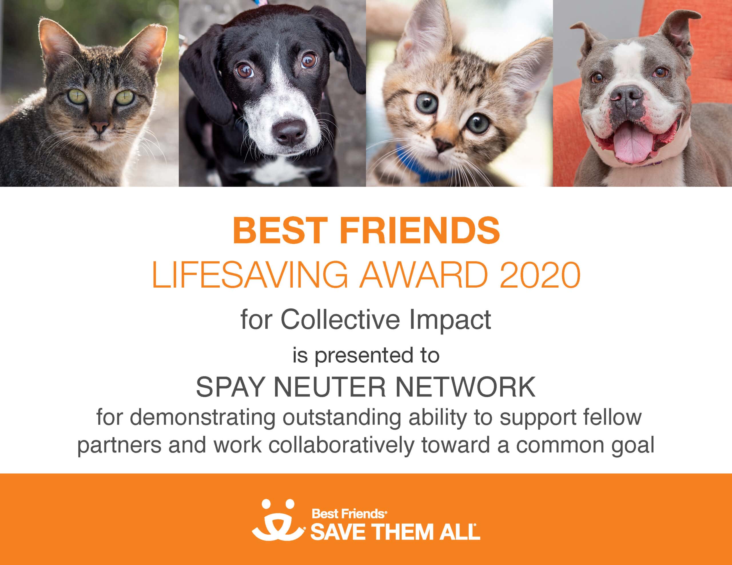 Best friends lifesaving award