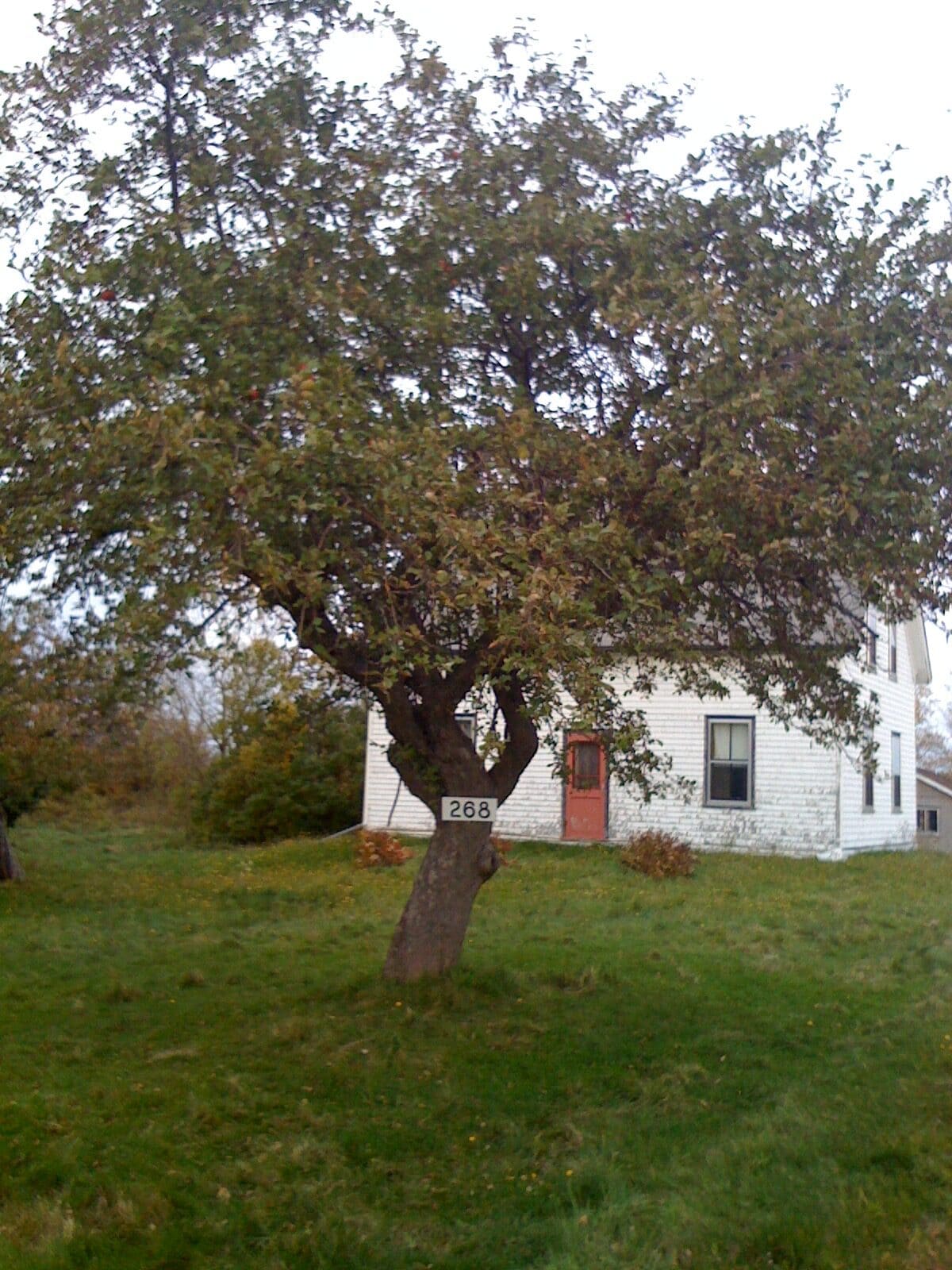 Home in Nova Scotia