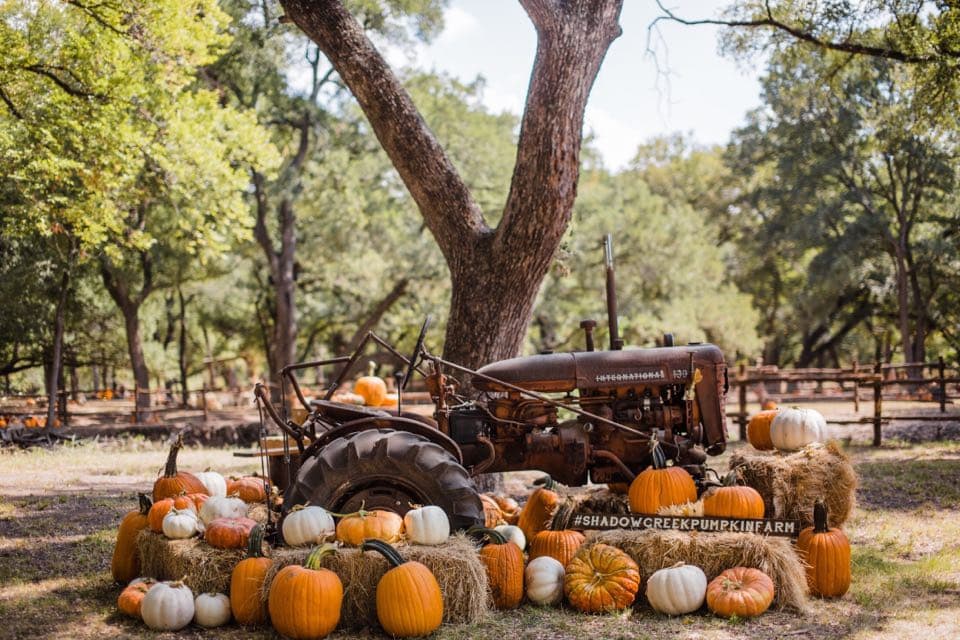 Shadow Creek Pumpkin Farm