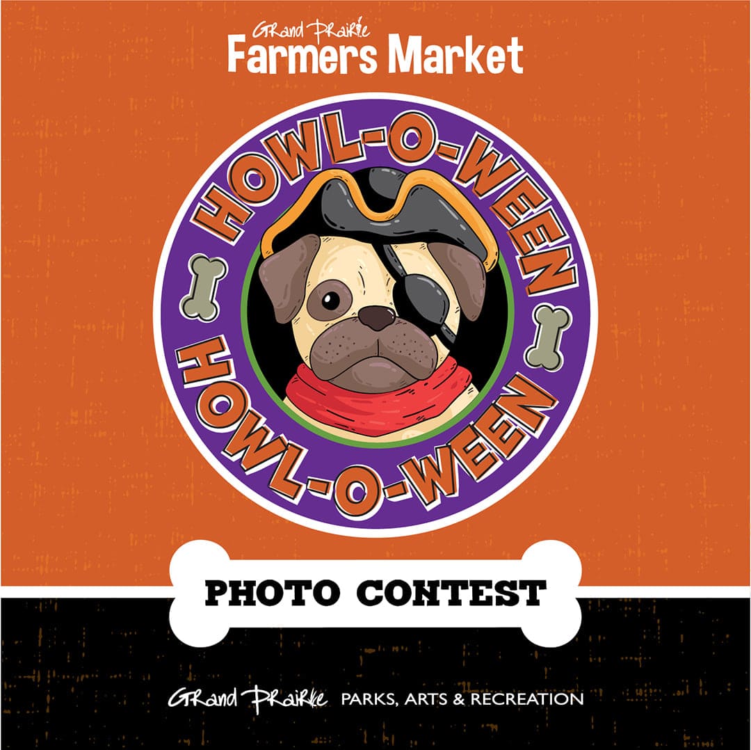 Howl o ween photo contest