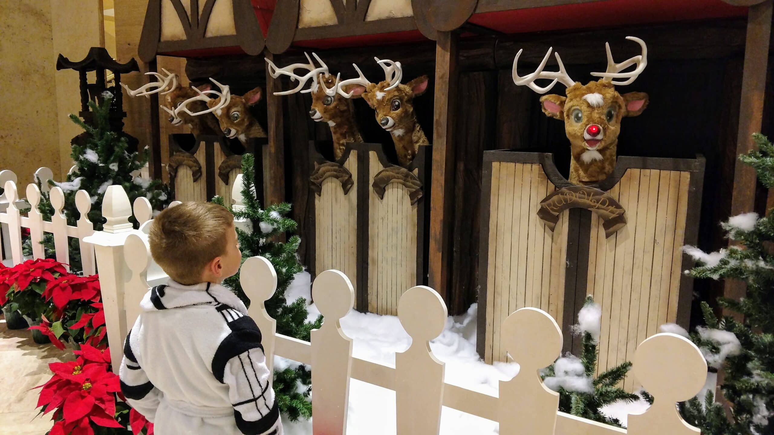 boy with mechanical reindeer