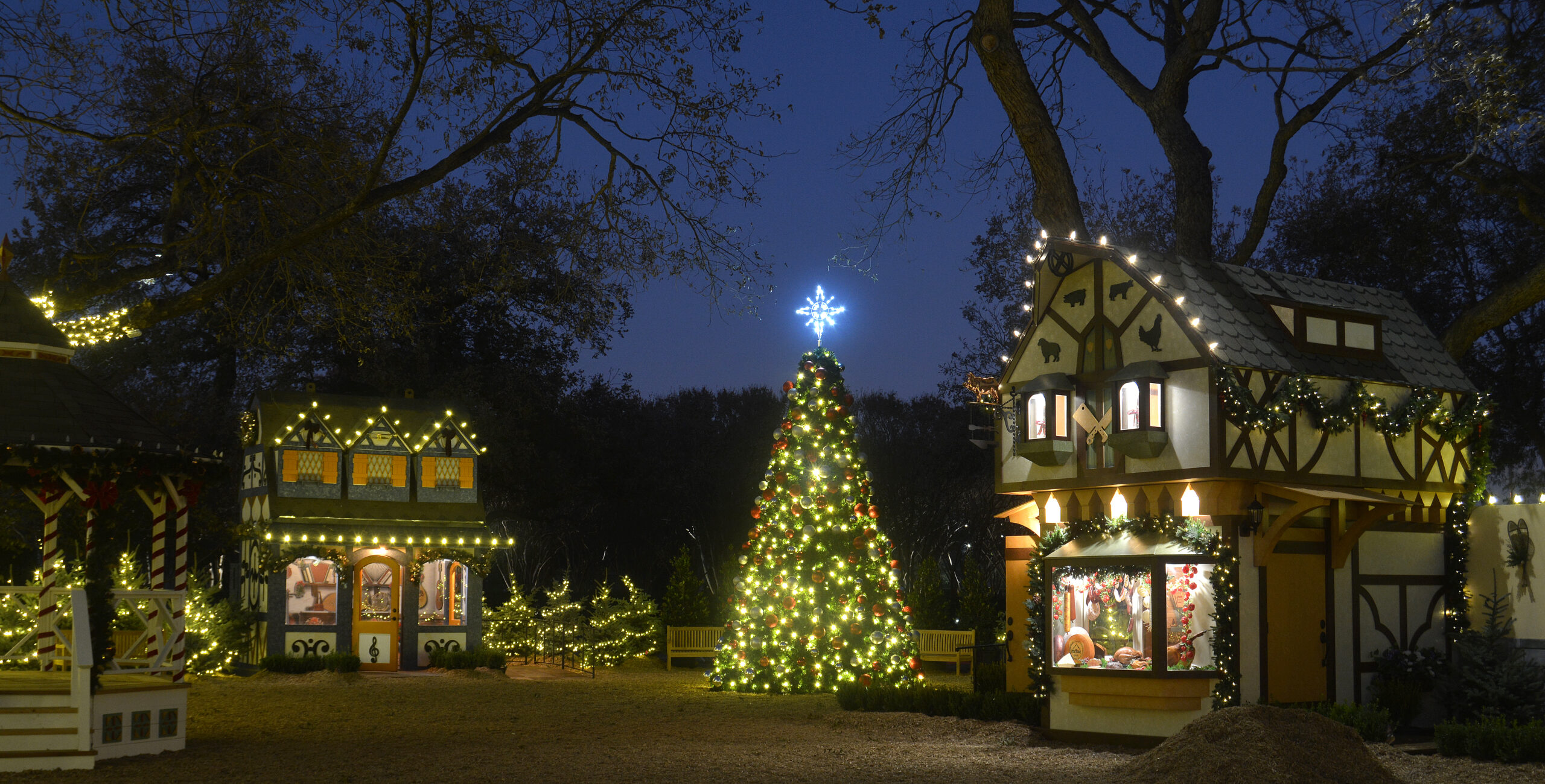Dallas Arboretum Expands Christmas Village Focus Daily News