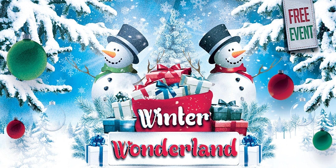 DeSoto Winter Wonderland Poster