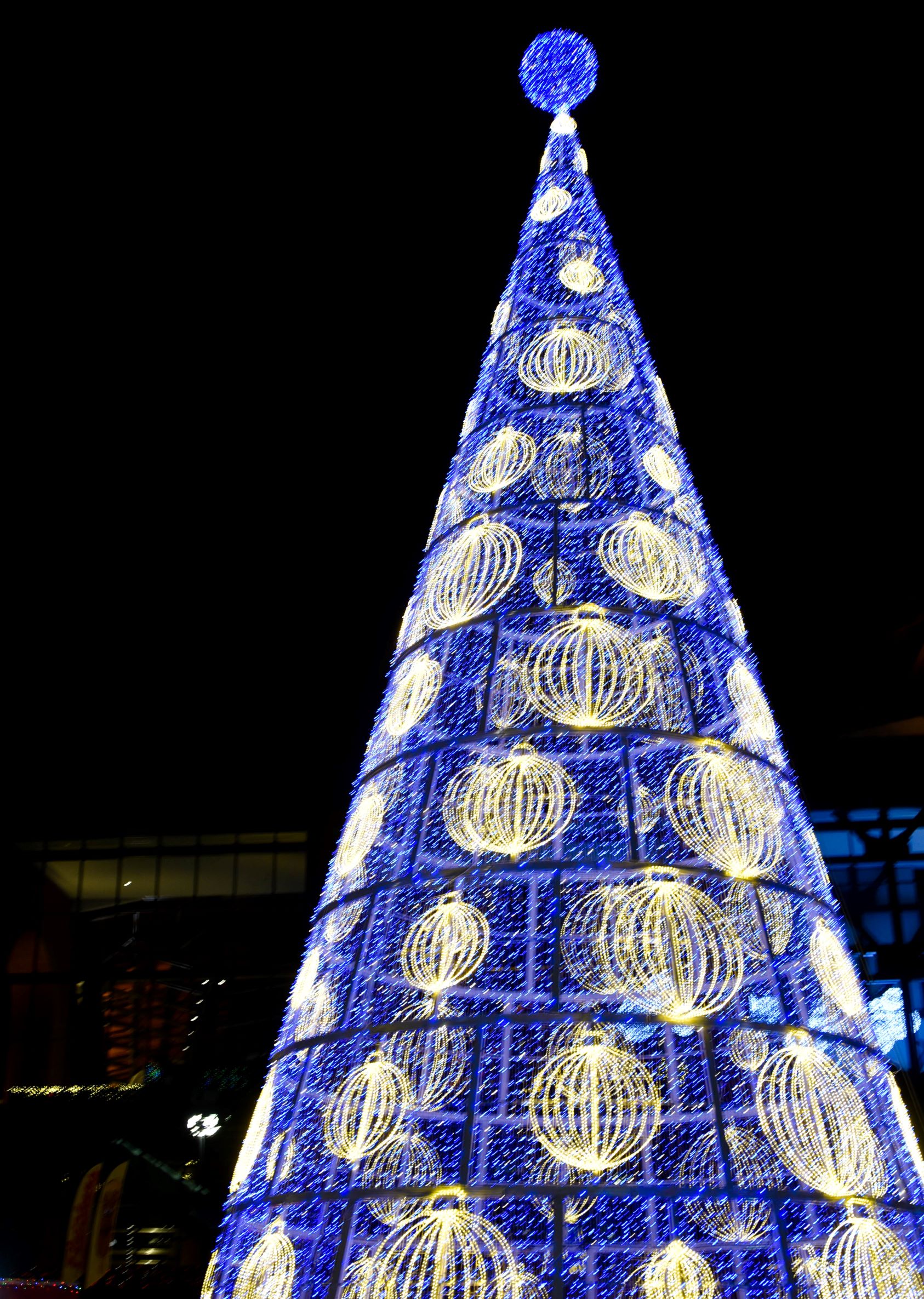 65 ft lighted Christmas Tree