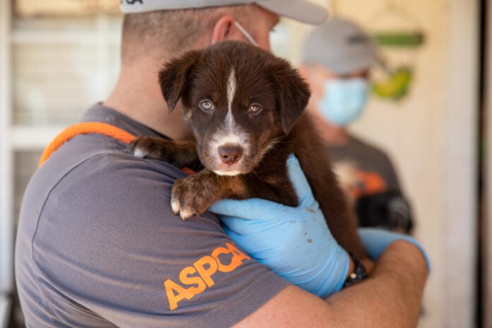 man holding puppy