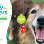 Empty The Shelters-Holiday Hope Event Dec. 9-13 empty the shelters flyer