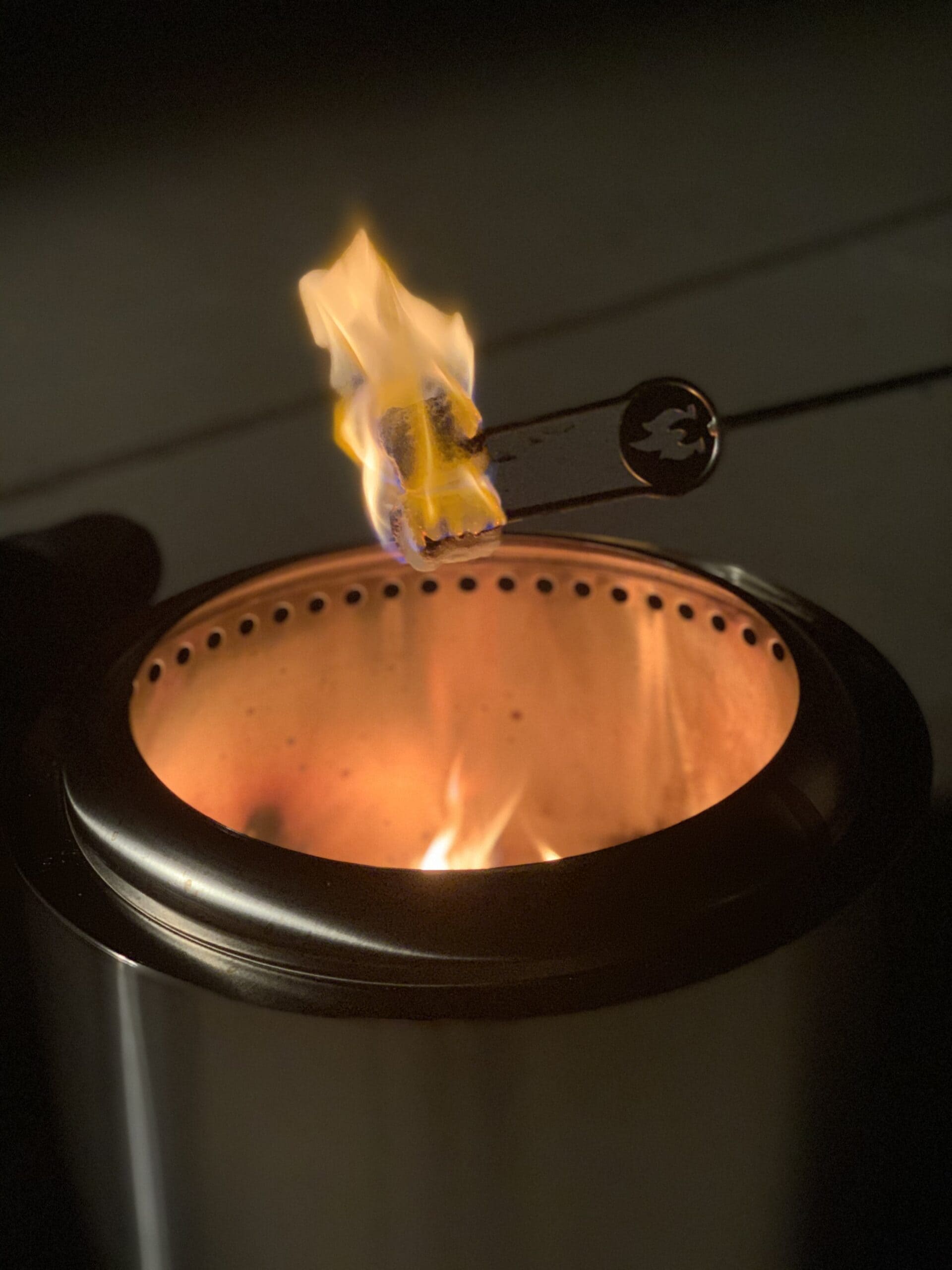 marshmallow roasting on fire pit