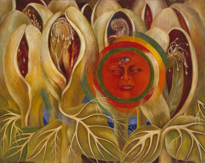 Frida Kahlo, Sun and Life, 1947 Frida Kahlo: Five Works at Dallas Museum of Art