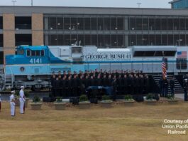 Bush Train