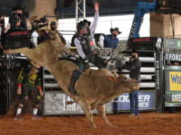 Okeechobee Unleash The Beast