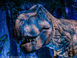 Jurassic World T rex