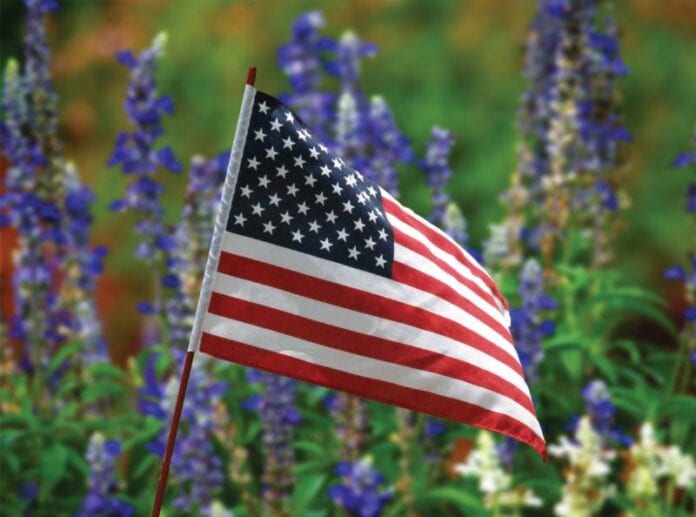 Am,erican Flag in garden