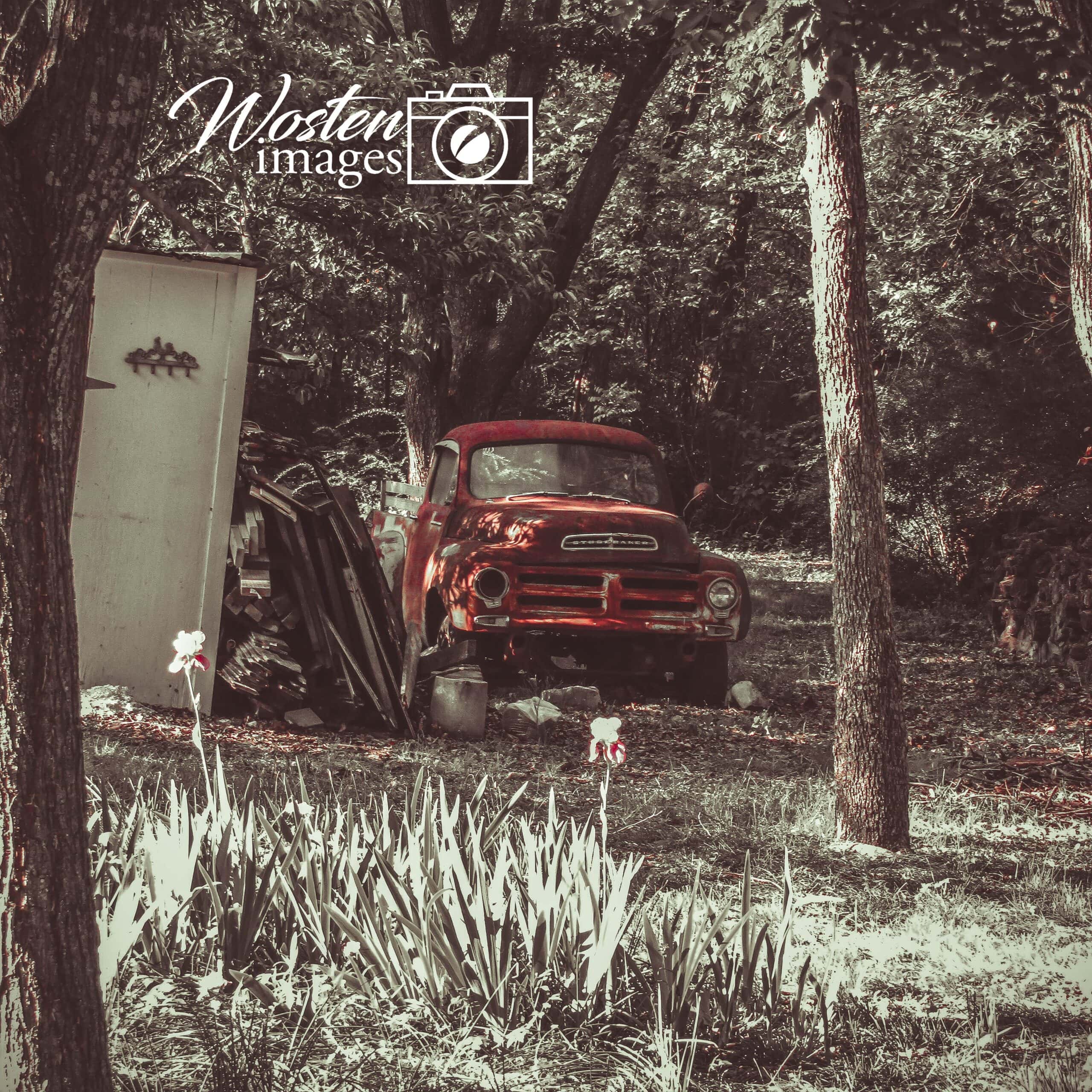 vintage truck in woods