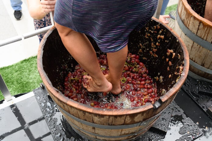 feet stomping grapes in barrel