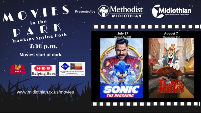 Movies in the park poster