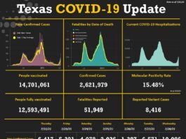 Texas COVID 19 infographic