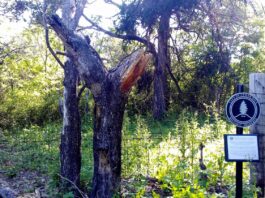 Tornado graveyard historical marker