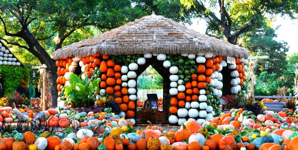 pumpkin covered gazebo