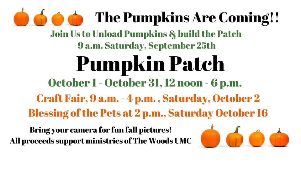 Woods United Pumpkin flyer