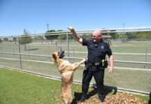 Funeral Arrangements Announced For Officer Andy MacDonald Police Officer with dog
