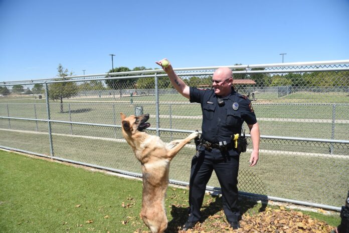 Police Officer with dog