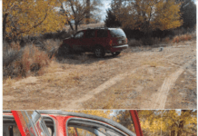 Formation of Cold Case and Missing Persons Unit Provides Support for 19k Unsolved Homicides photo of Durango from a crime scene