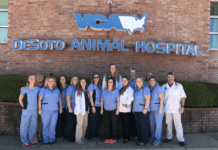 DeSoto VCA is Readers Choice for Pet Care Again in 2021