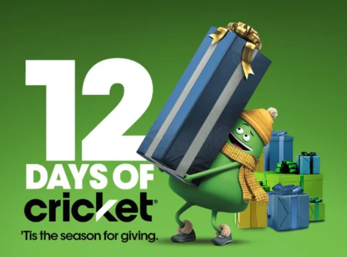 12 days of Cricket