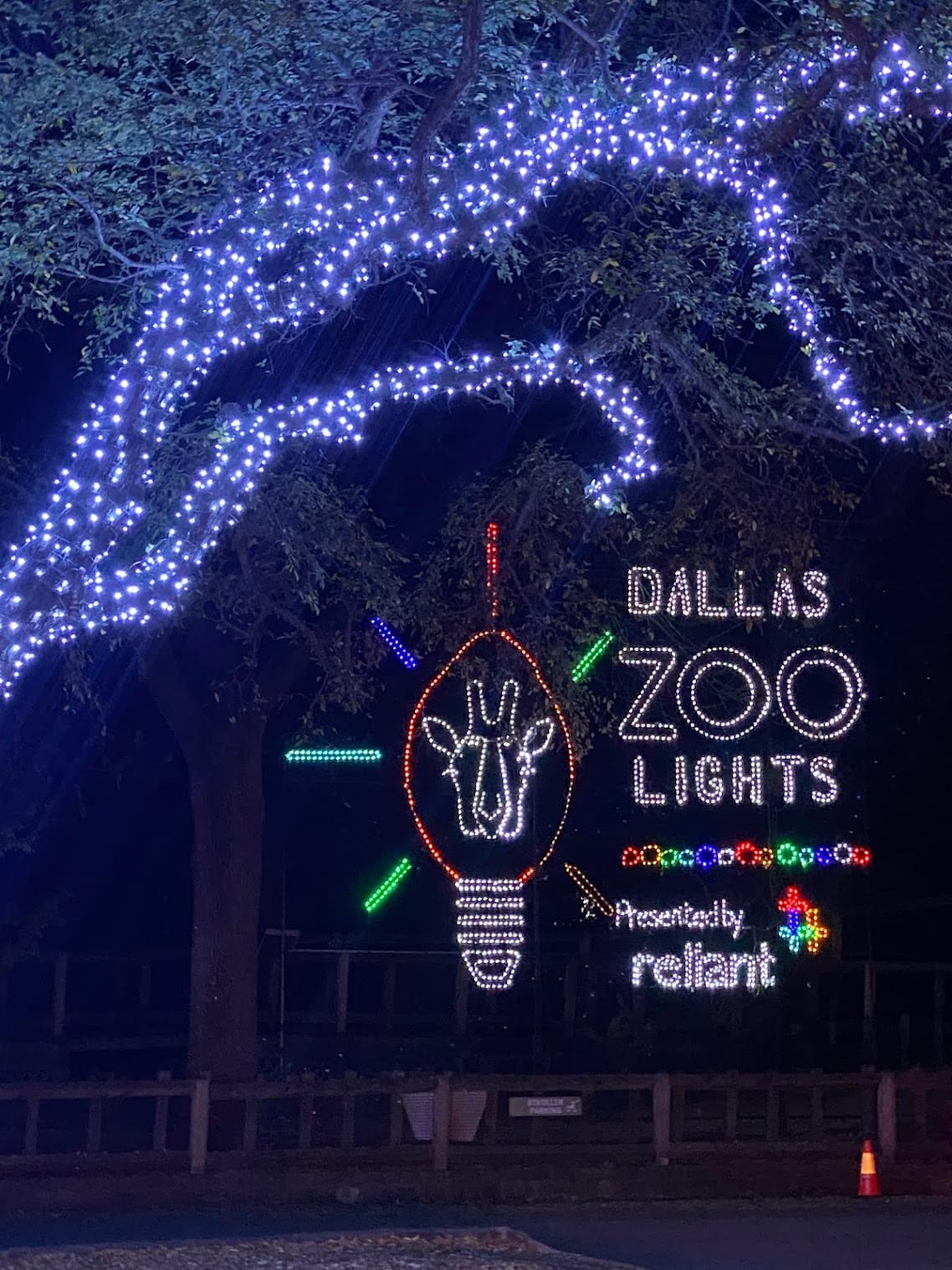 Dallas zoo light entrance