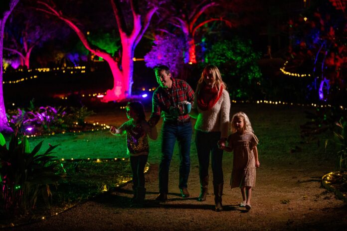 family looking at Christmas lights