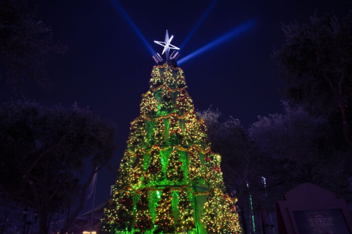 Christmas tree lit up