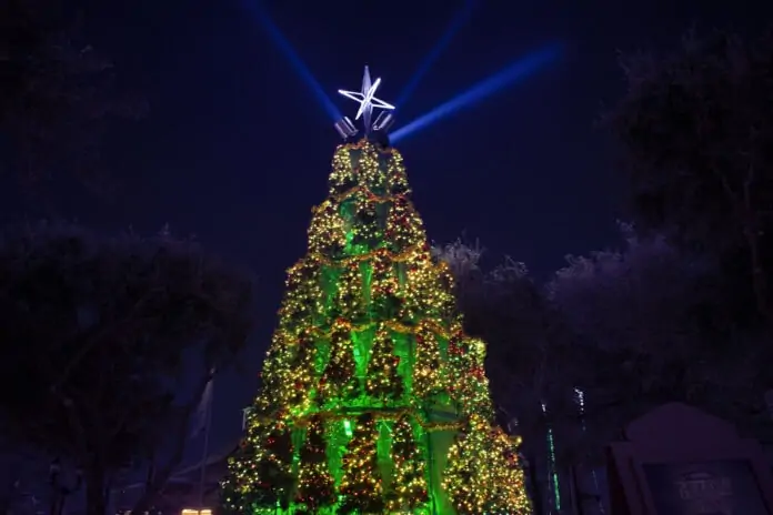 SFOT_HIP Tree of Trees_9195 Christmas tree lit up