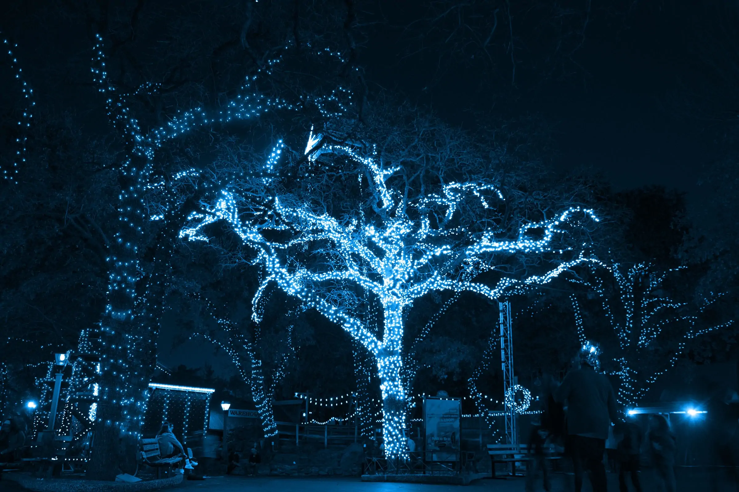 tree with blue lights