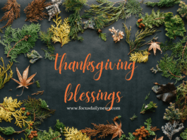 thanksgiving graphic