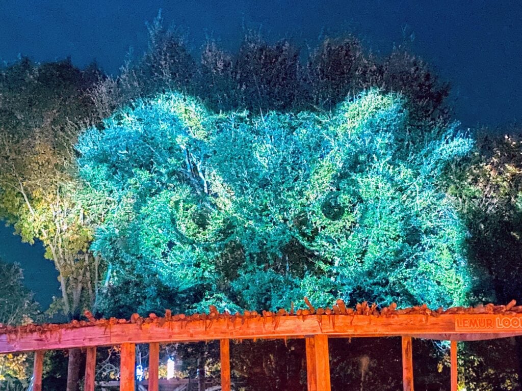 Light Up Your Holidays With Dallas Zoo Lights DriveThru Event