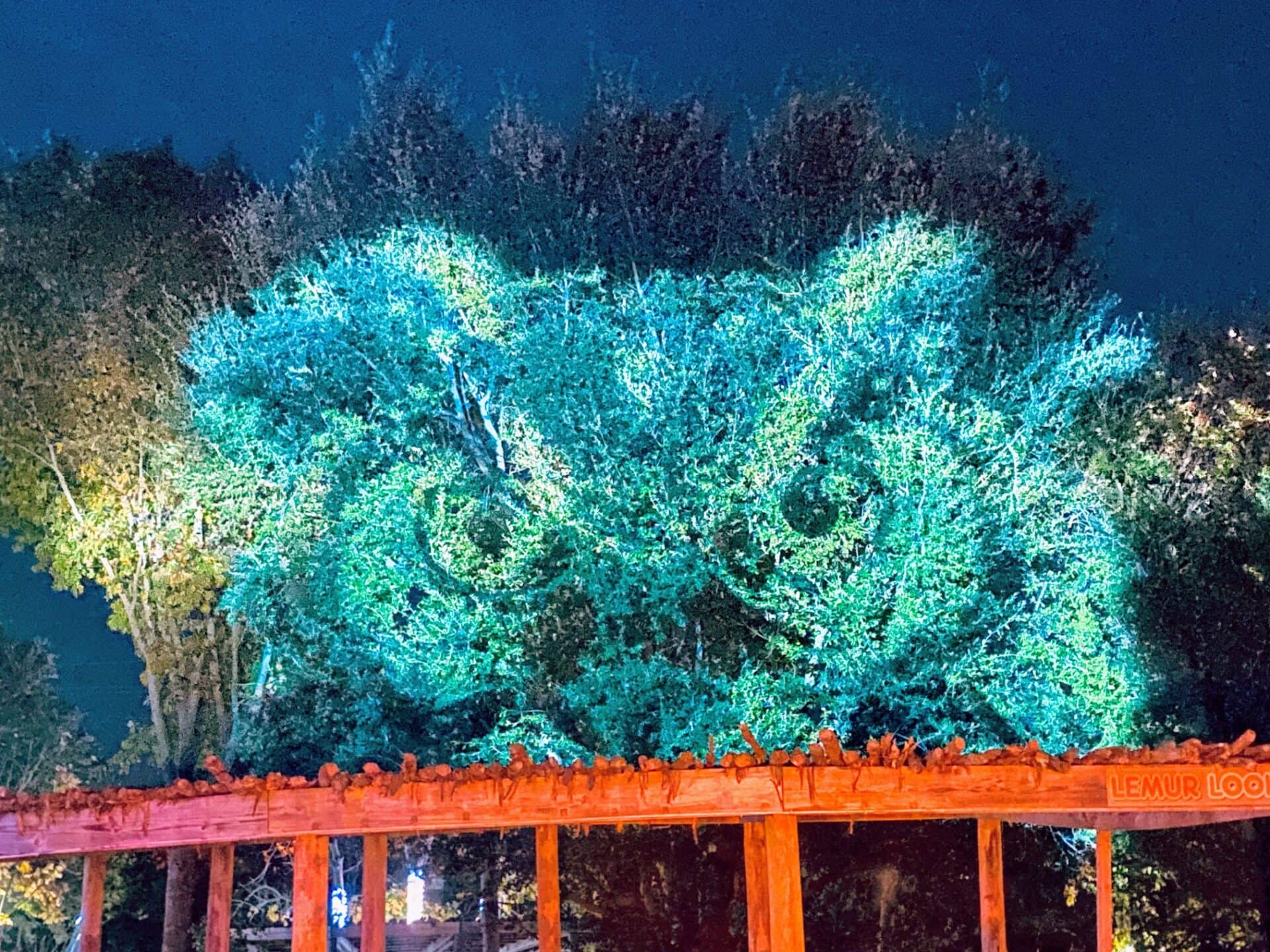Light Up Your Holidays With Dallas Zoo Lights DriveThru Event