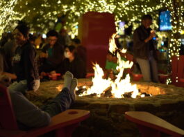 Visit ArtPark for Holiday Fun