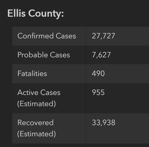 Ellis County COVID cases Dec 28