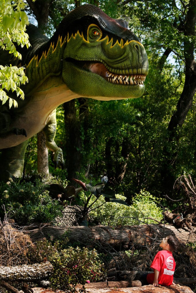 Dinosaur looming over boy