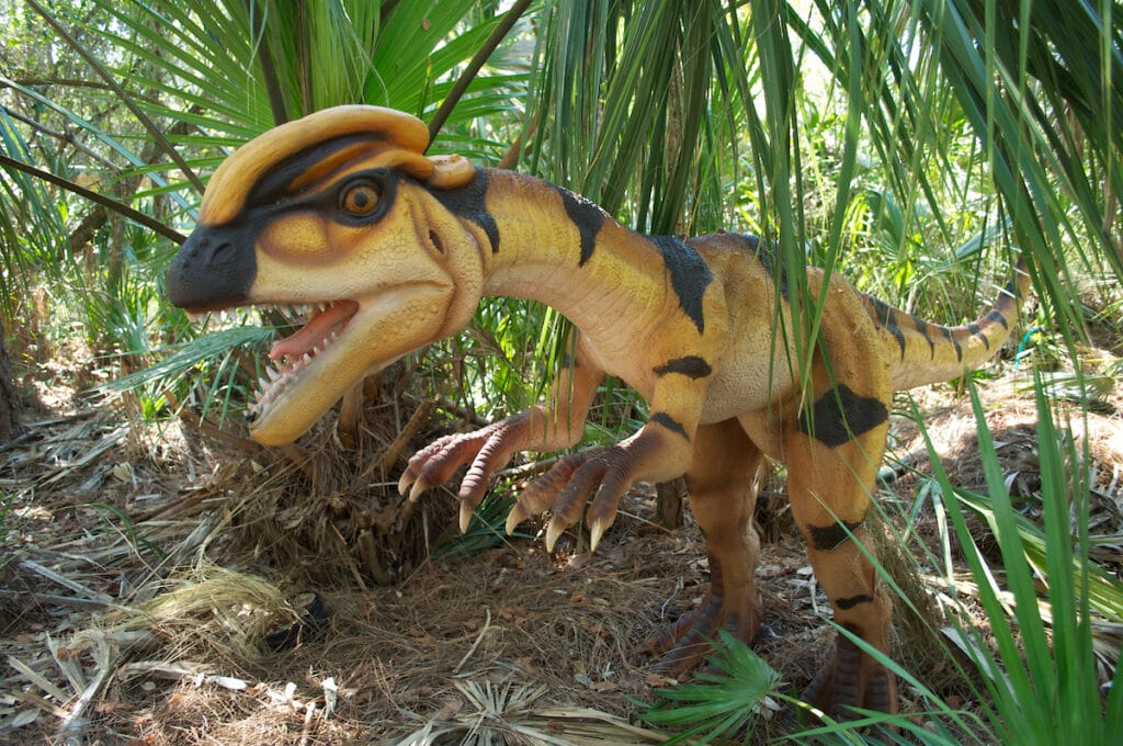 dilophosaurus baby yellow and black
