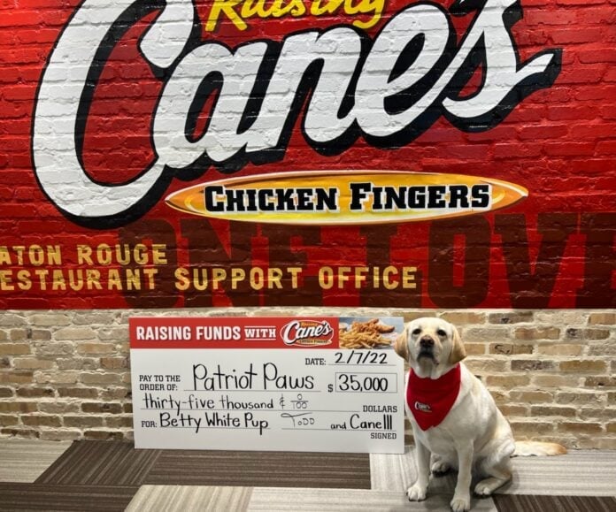 dog with Raising Canes check